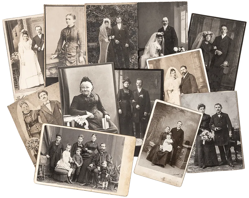 trace Irish family roots - tree